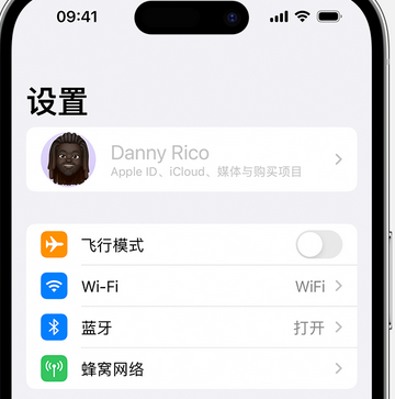 盐池appleID维修服务iPhone设置中Apple ID显示为灰色无法使用 