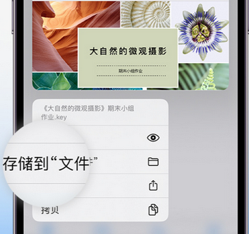 盐池apple维修中心分享iPhone文件应用中存储和找到下载文件