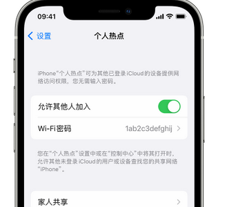 盐池apple服务站点分享iPhone上个人热点丢失了怎么办 