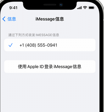 盐池apple维修iPhone上无法正常发送iMessage信息