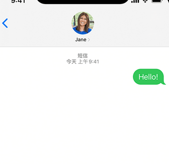 盐池apple维修iPhone上无法正常发送iMessage信息