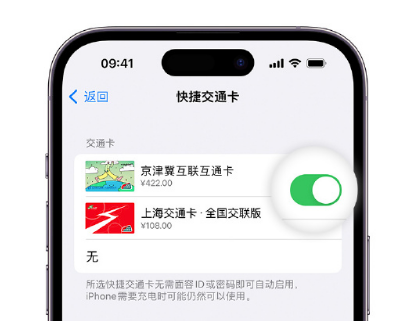 盐池apple维修点分享iPhone上更换Apple Pay快捷交通卡手绘卡面 