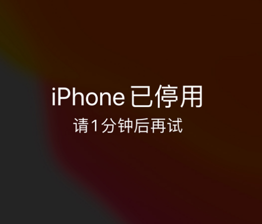 盐池苹果手机维修分享:iPhone 显示“不可用”或“已停用”怎么办？还能保留数据吗？ 