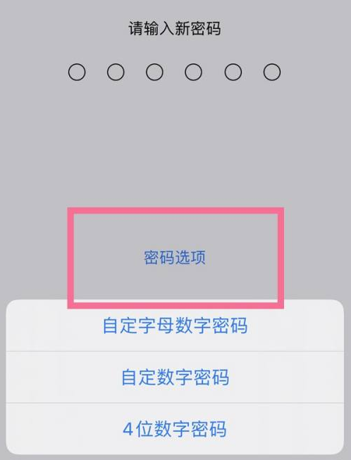 盐池苹果14维修分享iPhone 14plus设置密码的方法 