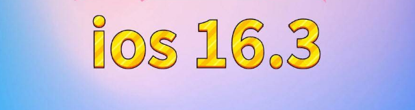 盐池苹果服务网点分享苹果iOS16.3升级反馈汇总 