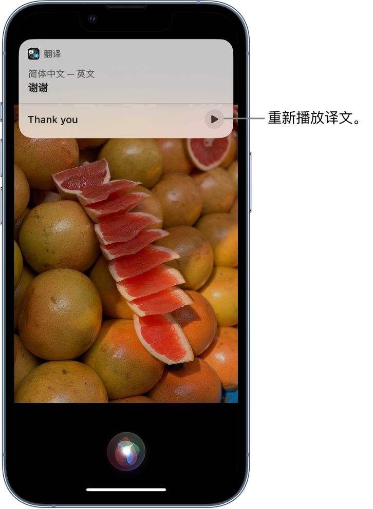 盐池苹果14维修分享 iPhone 14 机型中使用 Siri：了解 Siri 能帮你做什么 