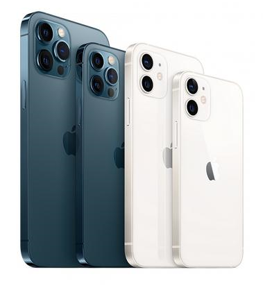 盐池苹果维修点分享iPhone 12 Pro黑屏小众问题解析 